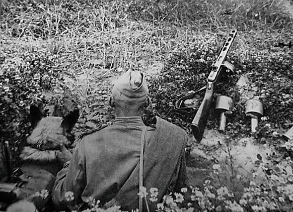 Разведка на передовой 1942 г Исход дня 28 мая Несмотря на усилия - фото 248