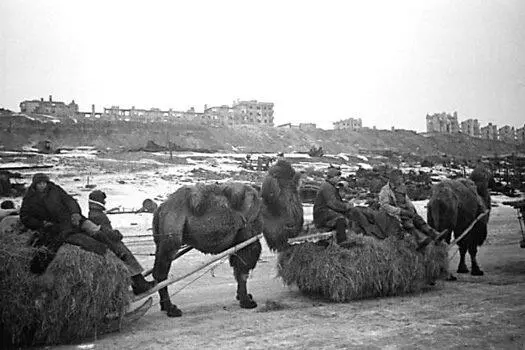 Доставка воинских грузов в район Сталинграда 1942 г В связи с разработкой - фото 199
