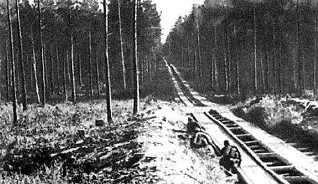 Дорога Волховского фронта Заместитель командующего Волховского фронта - фото 451