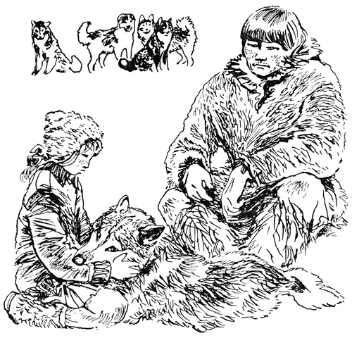 Чтобы не попадаться никому на глаза кружным путём они отвезли Аркая за скалы - фото 7