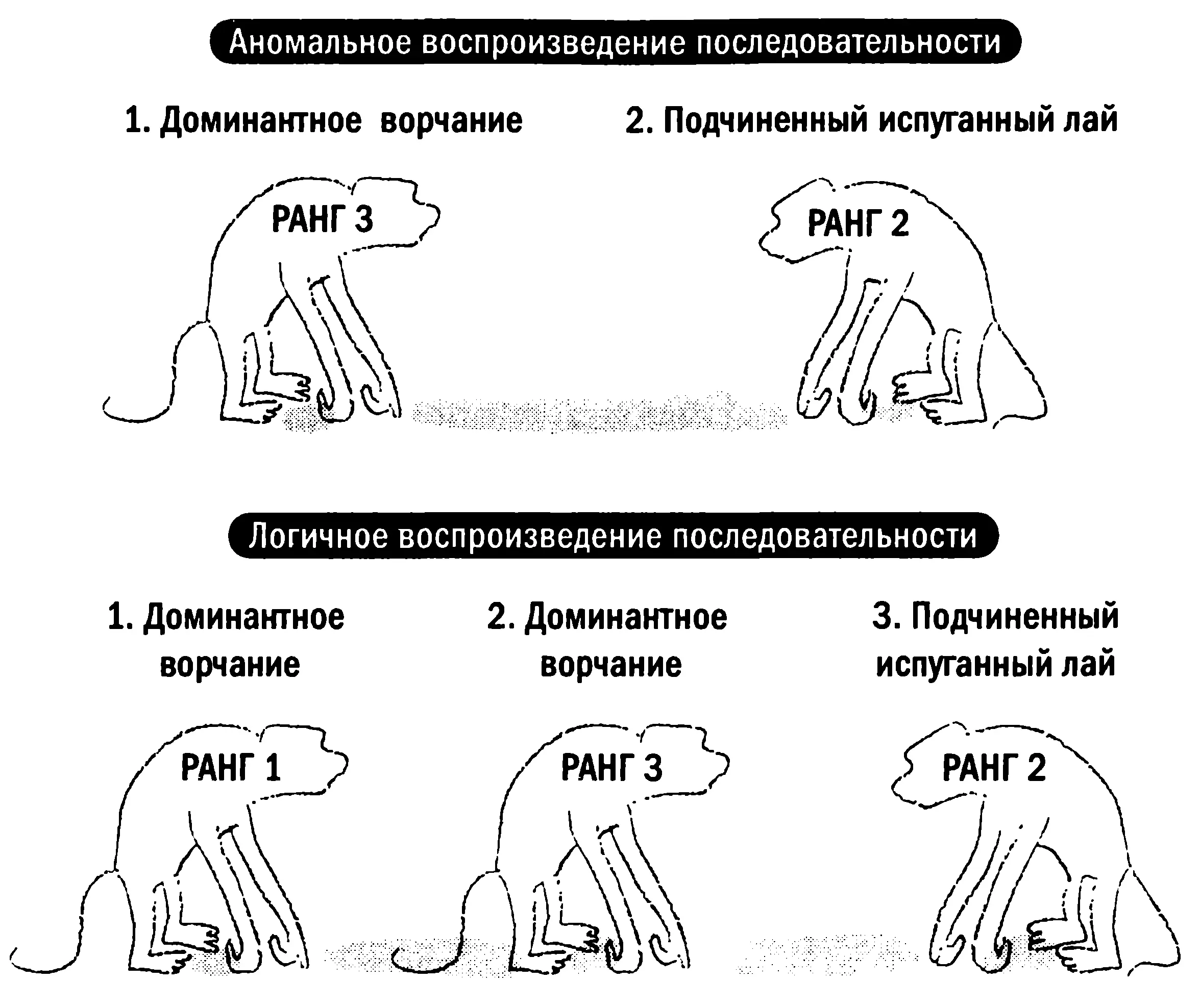 Для того чтобы выяснить распознают ли бабуины аномальные отношения т е - фото 19