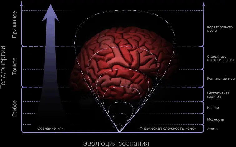Рис 54 Увеличивается осознанность увеличивается сложность То же - фото 32