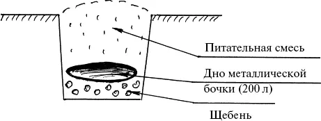 Рис 23 К формированию куста тоже надо относиться достаточно серьезно Уже на - фото 80