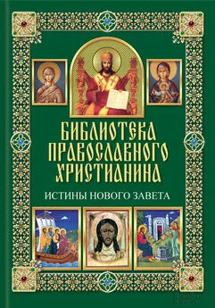 Павел Михалицын - Истины Нового Завета