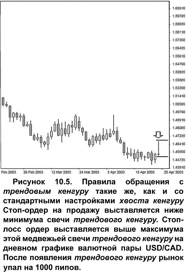 Бычьи трендовые хвосты кенгуру походят на стандартные настройки бычьих хвостов - фото 113