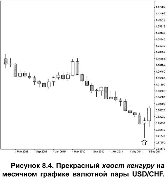 Почему столь важна длина хвоста кенгуру Длинный хвост означает глубокое - фото 85