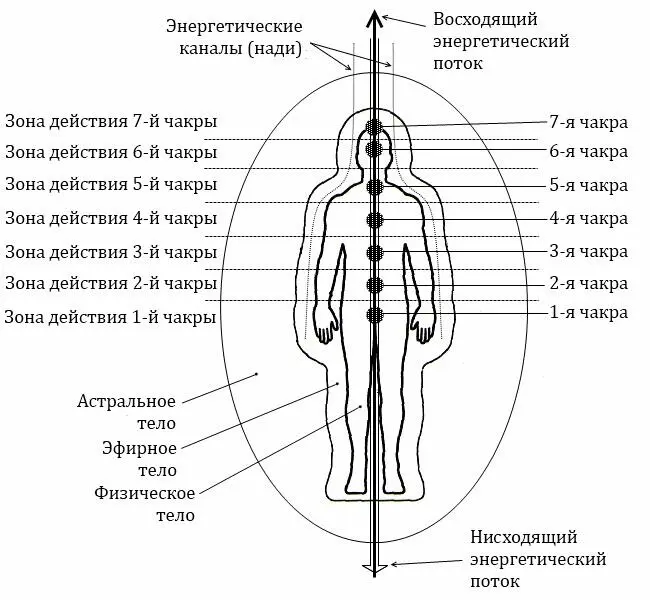Таблица 1 Чакры их расположение и эмоции Приложение 2 Медитация Змейка - фото 37