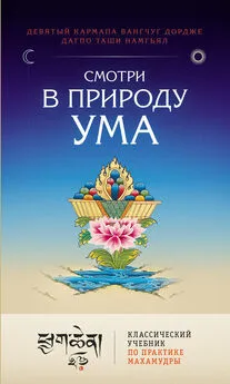 Вангчуг Дордже - Смотри в природу ума. Классический учебник по практике Махамудры