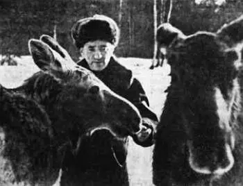 Георгий Георгиевич Шубин Это его работа Он директор зоологической базы и - фото 97