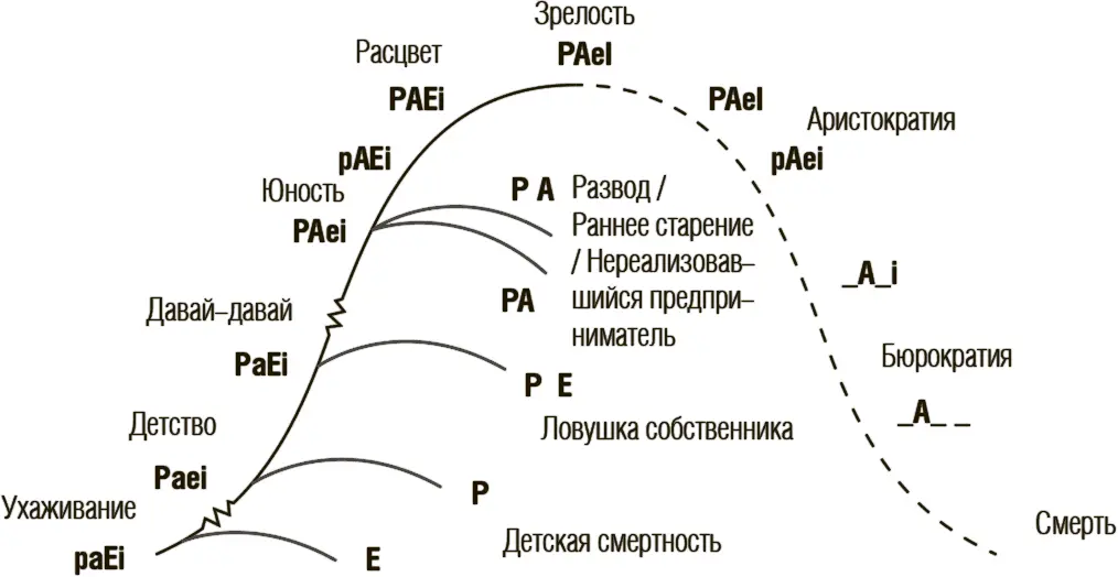Рис 1Роли необходимые организациям на разных этапах жизненного цикла - фото 9