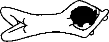 Камбала на дне руки лежат на полу ладонями вниз обрамляя голову ромбом см - фото 161