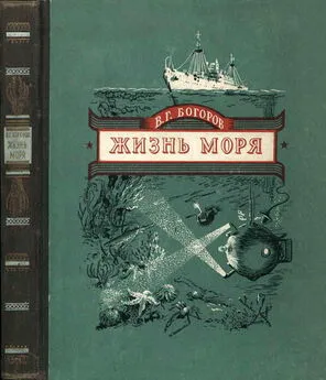 Венианим Богоров - Жизнь моря