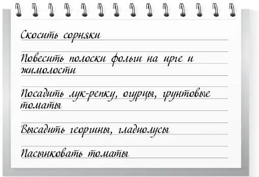 Первая половина месяца 1 При образовании завязей на ягодниках произведите их - фото 8