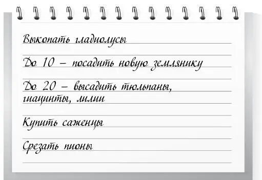1 Прищипните концы боковых побегов у малины когда они достигнут длины 40 см - фото 10