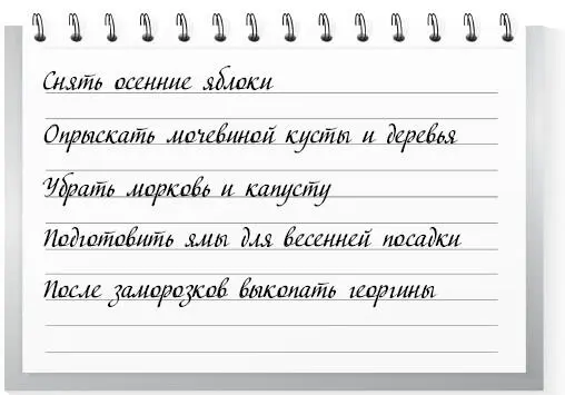 1 В начале месяца срежьте гладиолусы и через две недели выкопайте луковицы - фото 11
