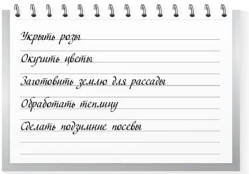 1 Укройте на зиму розы ящиками а поверх них лапником 2 Окучьте пионы - фото 13