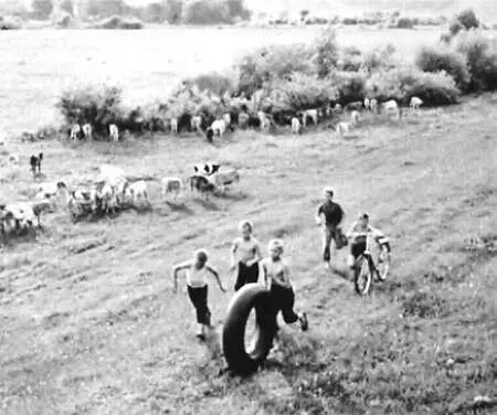 Бежин луг 1967 год Бежин луг сказал он потягиваясь после дремоты - фото 41
