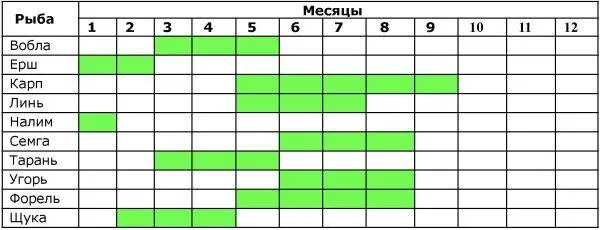 Существует и другое мнение что рыбу лучше есть в те месяцы в названии которых - фото 1