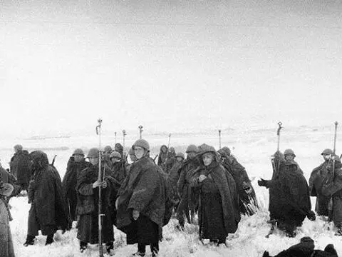Советские истребители танков Основные силы 3й румынской армии разгромлены - фото 77