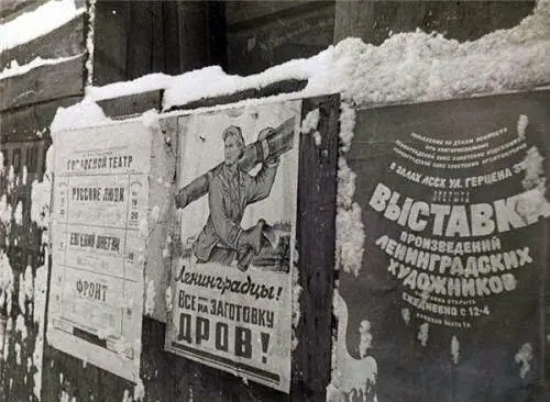 Состоялась научная конференция терапевтов и педиатров Ленинграда по - фото 260