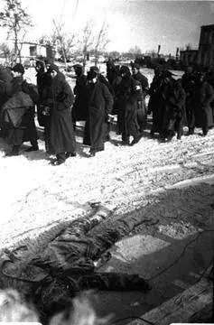 Колонна немецких военнопленных на окраинах Сталинграда Конец декабря 1942 г - фото 279