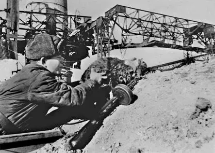 Боец засылает кота с листовкой солдатам и офицерам окруженной немецкой - фото 338