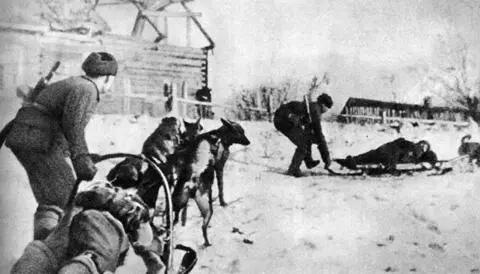 Вывоз раненых с поля боя Ленинградский фронт 1943 г В эти же часы - фото 367