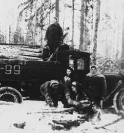 На лесозаготовке Из Москвы сегодня сообщили что во Всесоюзных заочных - фото 193