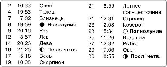 Июнь оптимален для высадки овощной и цветочной рассады в открытый грунт - фото 12