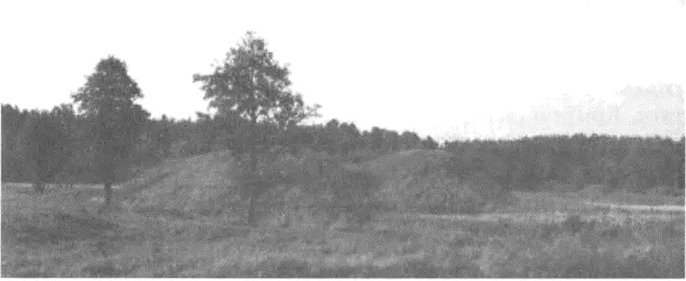 Очерк истории Кривичской и Дреговичской земель до конца XII столетия - фото 72