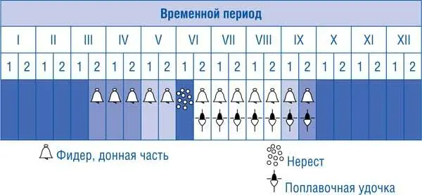 Клев сазана становится интенсивным с прогревом воды до температуры 1220 C - фото 55