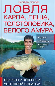 Константин Сторожев - Ловля карпа, леща, толстолобика, белого амура. Секреты и хитрости успешной рыбалки