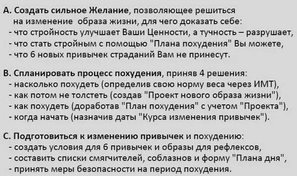 153 План похуденияшаблон Похудеть на всю жизнь значит создать Страсть и - фото 72