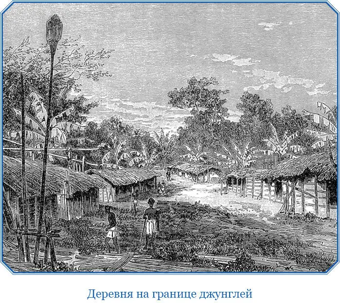 С тех пор как мы пришли в Ибуири большая часть наших людей с каждым днем - фото 45