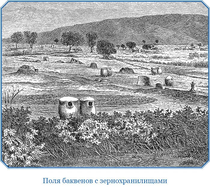 В лесу царствует такая глушь и тишина что мы взаимно находились в полной - фото 73