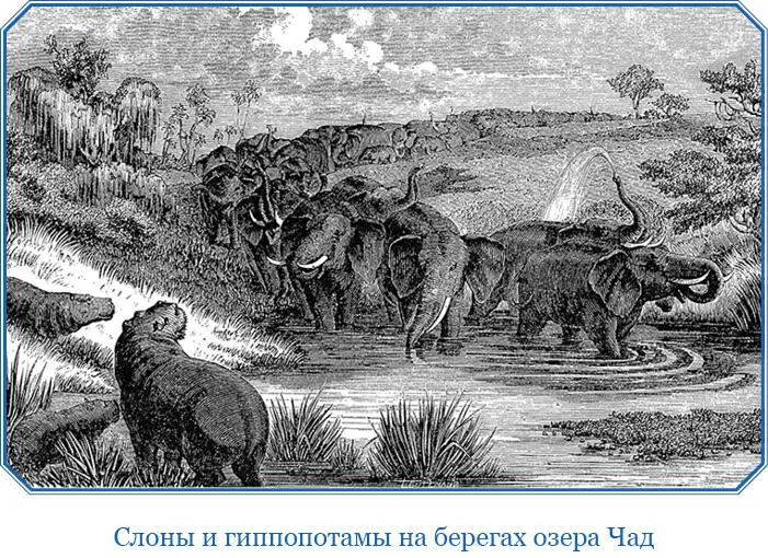 28го прошли 8 км через ряд холмов по глубоким ложбинам беспрестанно то - фото 106