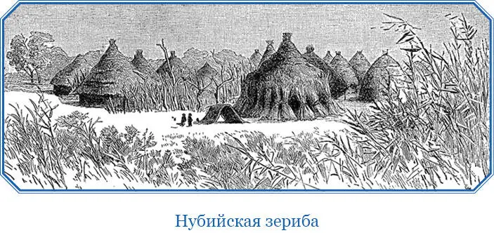 По берегу валялись сотни мертвых бабочек всевозможных цветов В воде не видно - фото 115