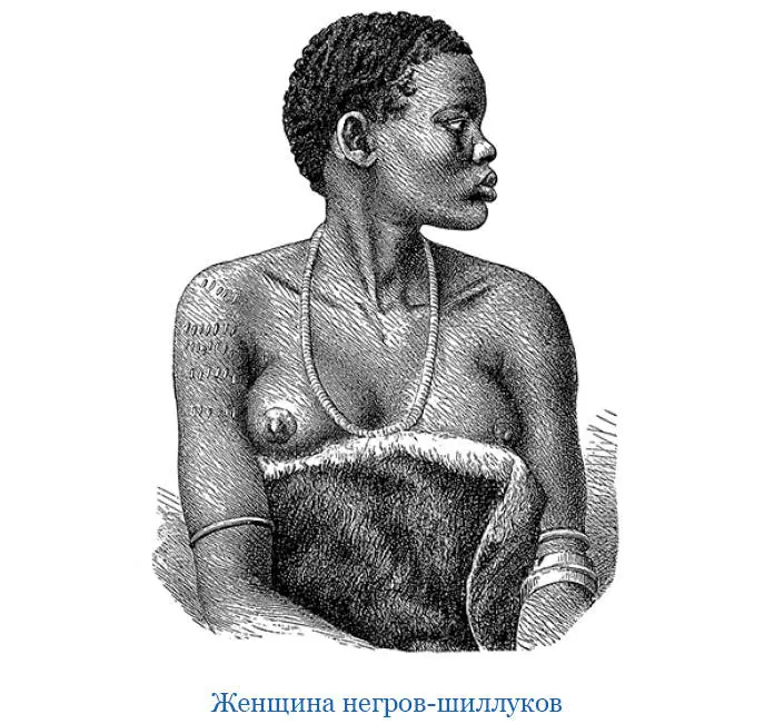 Совершив несколько очень значительных переходов по равнине мы остановились в - фото 117