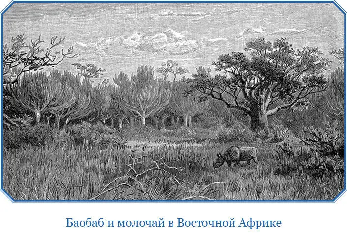 Вид на озеро АльбертаЭдуарда с начала до конца был не похож ни на один из - фото 118