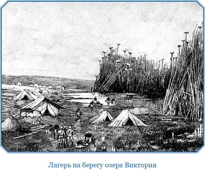 Мы приближались к миссии по торной дороге и вскоре встретили на ней дроги на - фото 135