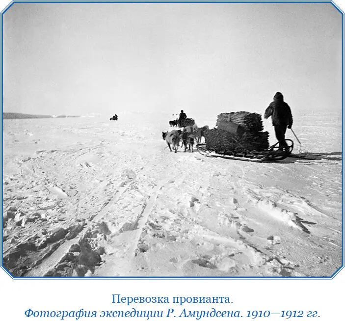 Завершив очередной 28километровый этап мы разбили лагерь От 81 южной широты - фото 126