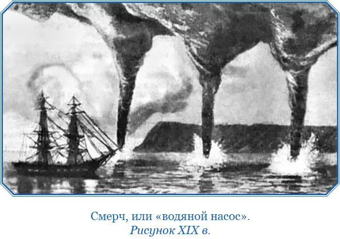12 октября Нам удалось застрелить несколько летевших близ шлюпа малых бурных - фото 32