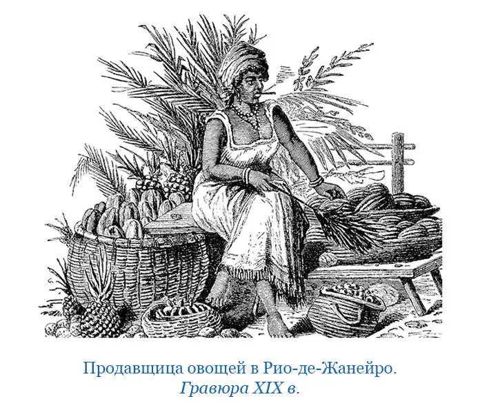 Глава седьмая Отбытие из РиодеЖанейро Плавание в Лиссабон и из Лиссабона - фото 112