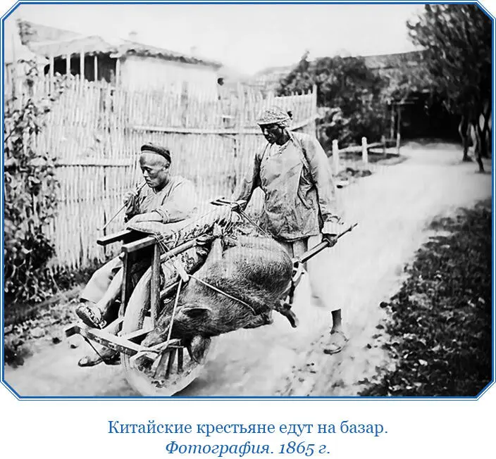 Второе обстоятельство помешавшее нам симпатизировать китайцам заключалось в - фото 40