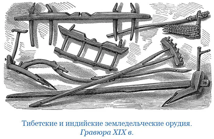 В результате мы видели людей вообще не знающих ни одного языка Немного - фото 112