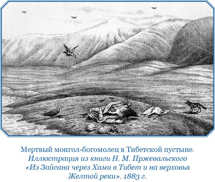 Всех монахов в монастыре около 2500 и они делятся на много мелких общин - фото 31