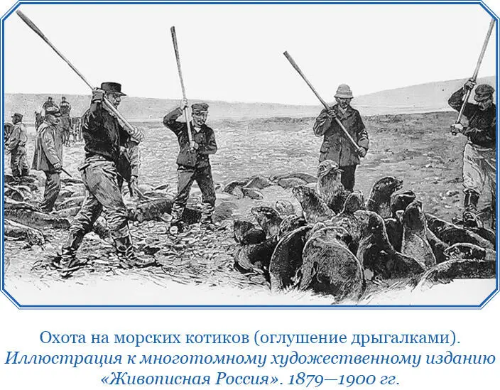 Предосторожность отделять взрослых котиков от убиваемых необходима для - фото 89
