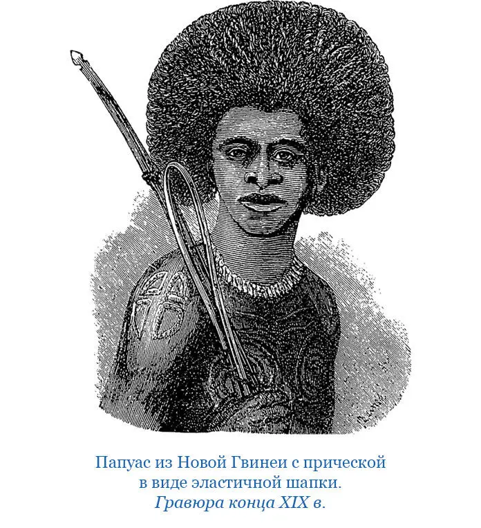 29 декабря Заходил в Горенду напомнить туземцам что они давно не приносили мне - фото 28