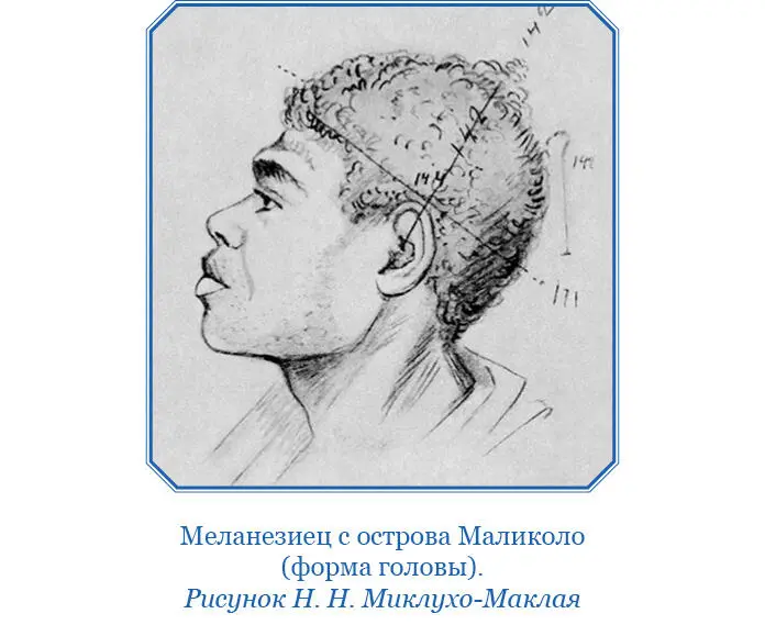 Получив кокос без требования табака за визит я вернулся домой но - фото 67
