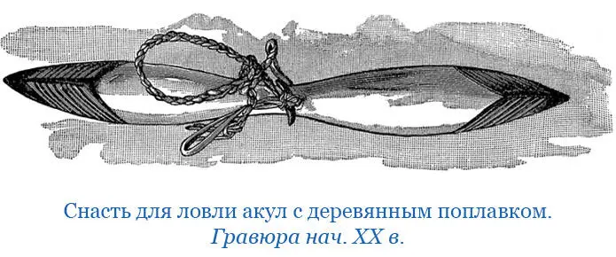 КРАТКОЕ СООБЩЕНИЕ О МОЕМ ПРЕБЫВАНИИ НА ВОСТОЧНОМ БЕРЕГУ ОСТРОВА НОВОЙ ГВИНЕИ в - фото 69